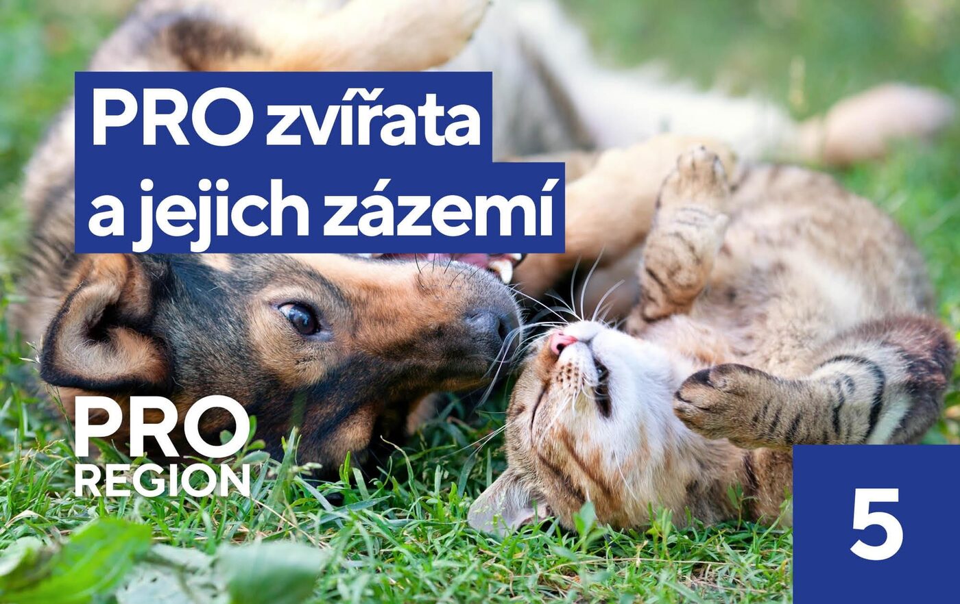 Zvířata a jejich zázemí